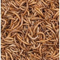 Greenline Mealworms 200gr - Deli Nature 026901 Deli Nature 4,90 € Ornibird