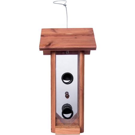 Ornibird SRL - Oiseaux de la nature
