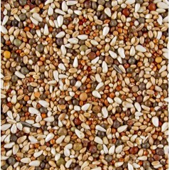 DoviX Becs-Courts 20kg - Deli Nature à 21,35 € - Deli Nature - 004423 - Mélanges DoviX Pigeons d'Ornements