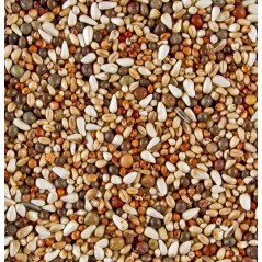 DoviX Tourterelles 20kg - Deli Nature - 18,75 € - Deli Nature - 5411860010118 - Ornibird SRL