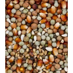 DoviX Petit Maïs 20kg - Deli Nature - 20,60 € - Deli Nature - 5411860012082 - Ornibird SRL