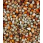 DoviX Petit Maïs 20kg - Deli Nature DoviX Petit Maïs 20kg - Deli Nature