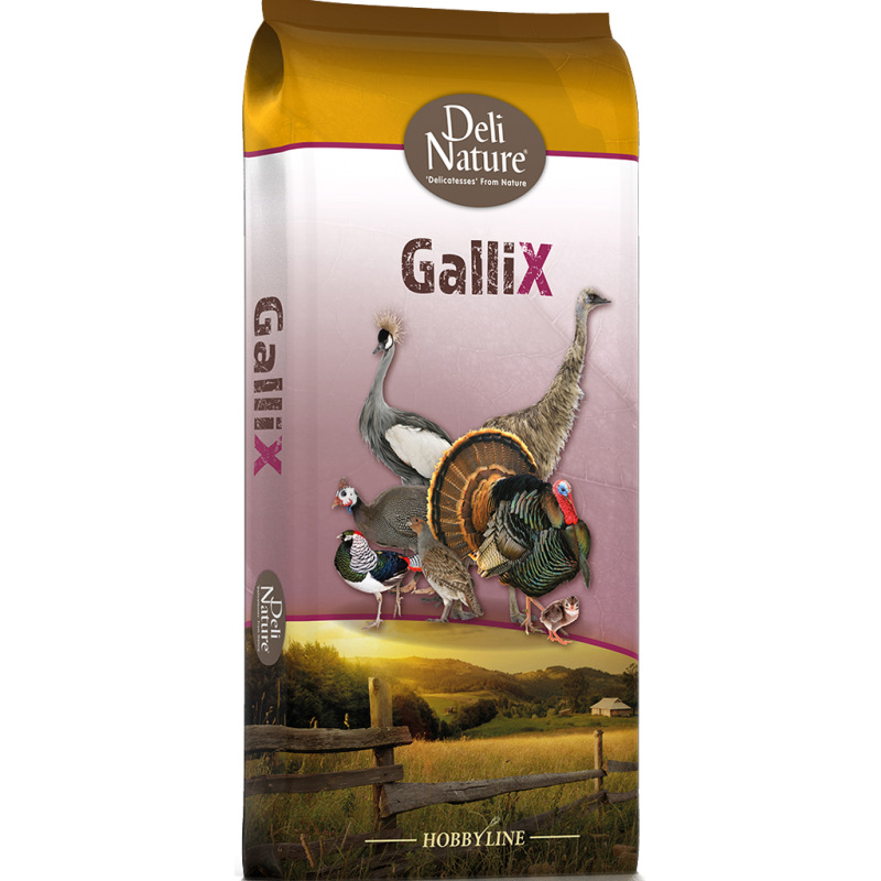 GalliX Turkey Miette Démarrage 20kg - Deli Nature 315021 Deli Nature 17,05 € Ornibird
