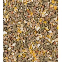 ChiX Mix Ponte 4kg - Deli Nature à 5,10 € - Deli Nature - 026302 - Poule Pondeuse