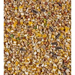 ChiX Mix Poulettes Pondeuses 4kg - Deli Nature à 4,75 € - Deli Nature - 026303 - Poule Pondeuse