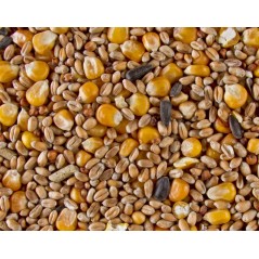 Mélanges Graines Entiers 20kg - Deli Nature à 11,80 € - Deli Nature - 316003 - Graines Simples