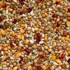 Galaxy Elevage 20kg - Beyers à 23,20 € - Beyers - 004560 - Mélanges Galaxy