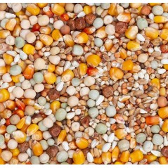 Original Elevage 25kg - Beyers à 21,30 € - Beyers - 004550 - Mélanges Budget