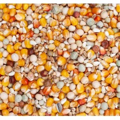 Original Sport 25kg - Beyers à 21,30 € - Beyers - 004551 - Mélanges Budget