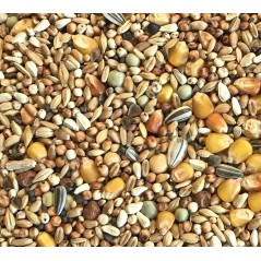 Original Pigeonneaux 25kg - Beyers à 21,30 € - Beyers - 004553 - Mélanges Budget