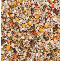 Olympia 52 - Elevage & Pigeonneaux avec charbon-marie 25kg - Beyers 004486 Beyers 30,80 € Ornibird
