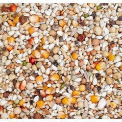 Premium Youngsters 20kg - Beyers à 23,85 € - Beyers - 004525 - Mélanges de Base