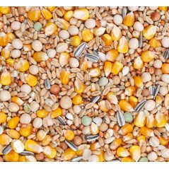 Basic Allround 25kg - Beyers à 16,45 € - Beyers - 019106 - Mélanges de Base