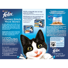 Tendres Effilés - Sélection mixte en Gelée 12x100gr - 5,55 € - Purina - 7613030980452 - Ornibird SRL