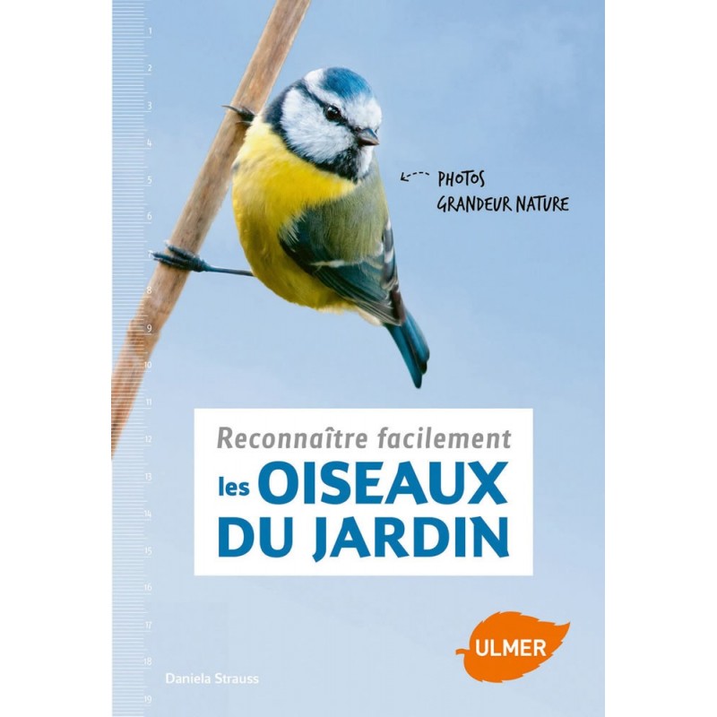 Reconnaître facilement les oiseaux du jardin - Daniela STRAUSS 1389483 Ulmer 9,90 € Ornibird