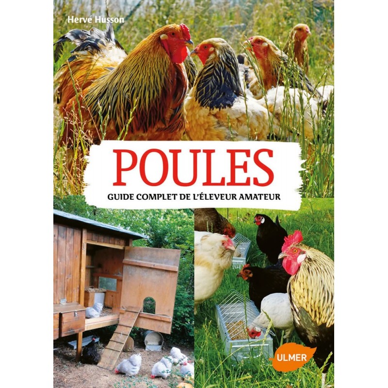 Poules Guide complet de l'éleveur amateur - Hervé HUSSON 1387069 Ulmer 26,00 € Ornibird