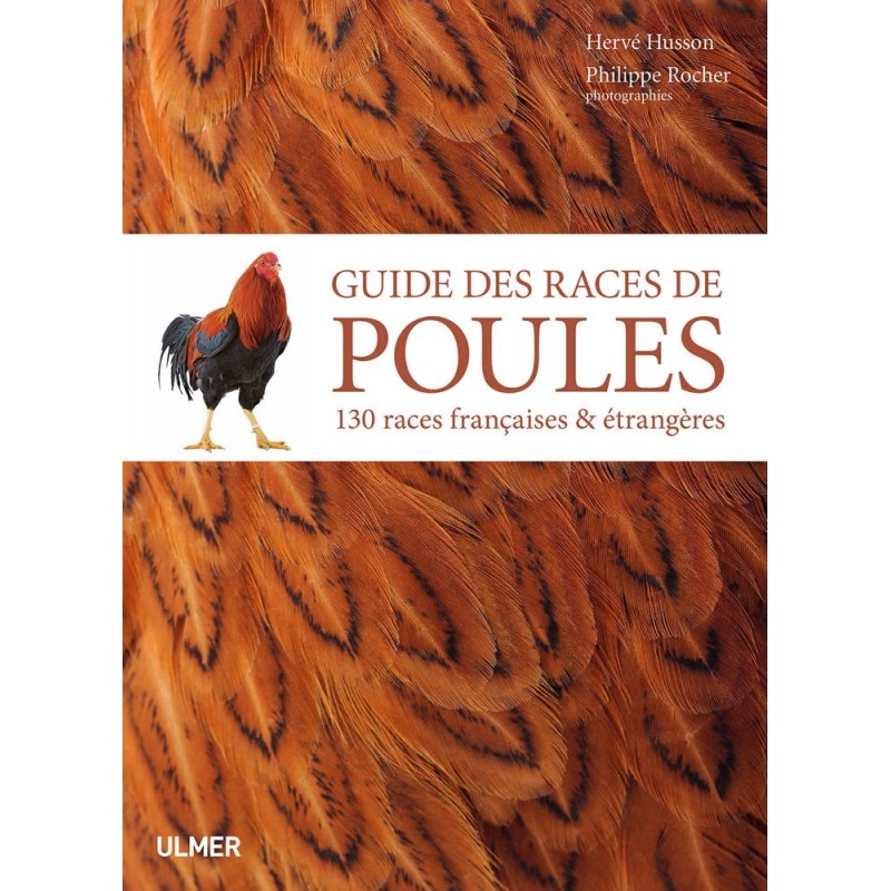 Guide des races de poules 130 races françaises et étrangères - Hervé HUSSON & Phillippe ROCHER 1388172 Ulmer 28,00 € Ornibird
