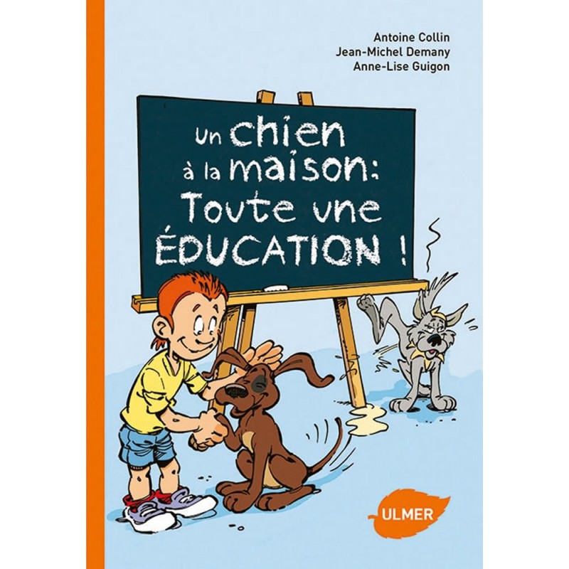 Un chien à la maison : toute une éducation! - Antoine COLLIN & Jean-Michel DEMANY & Anne-Lise GUIGON 1386284 Ulmer 7,90 € Orn...