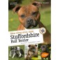 Bien vivre avec mon Staffordshire Bull Terrier Éducation, comportement, soins - Valérie DRAMARD Bien vivre avec mon Staffordshire Bull Terrier Éducation, comportement, soins - Valérie DRAMARD