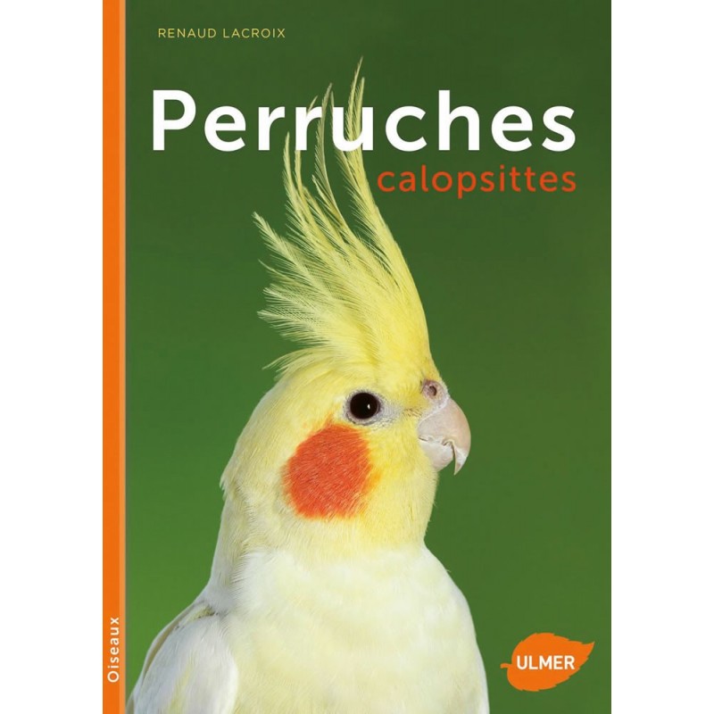 Perruches calopsittes - Renaud LACROIX Perruches calopsittes - Renaud LACROIX