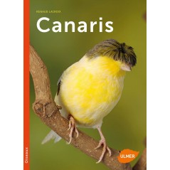 Canaris - Renaud LACROIX 1389384 Ulmer 19,90 € Ornibird