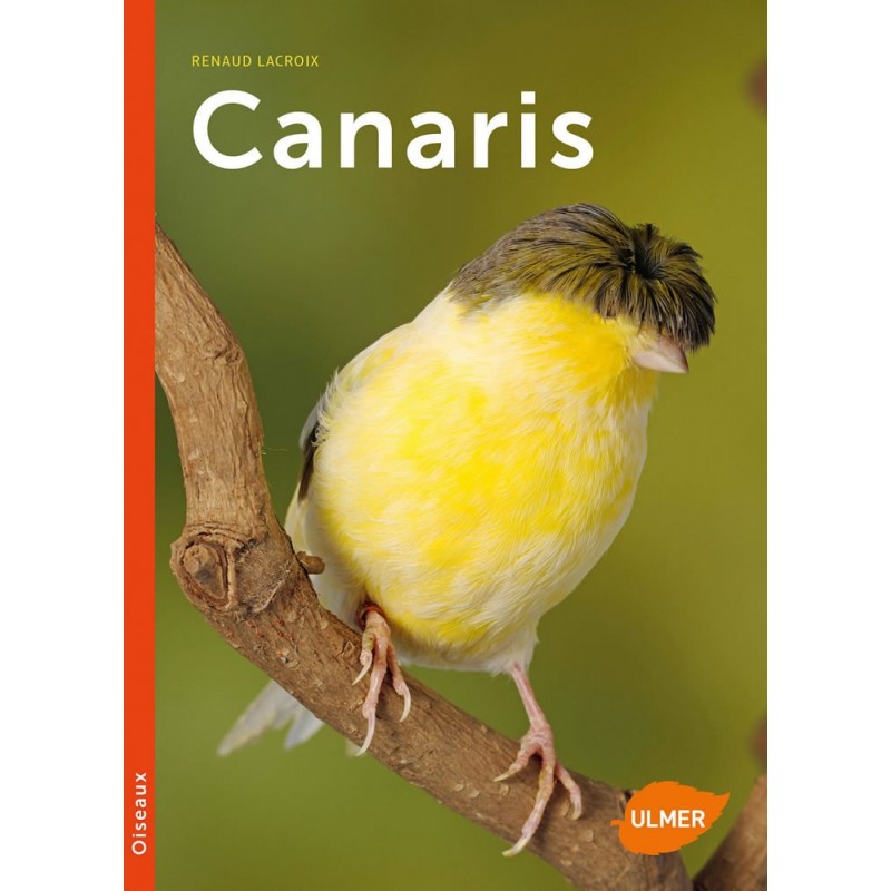 Canaris - Renaud LACROIX 1389384 Ulmer 19,90 € Ornibird