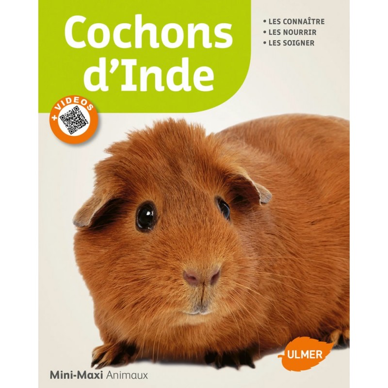 Cochons d'Inde - Dietrich-Fritz ALTMANN & Jean-François QUINTON 1387601 Ulmer 7,90 € Ornibird