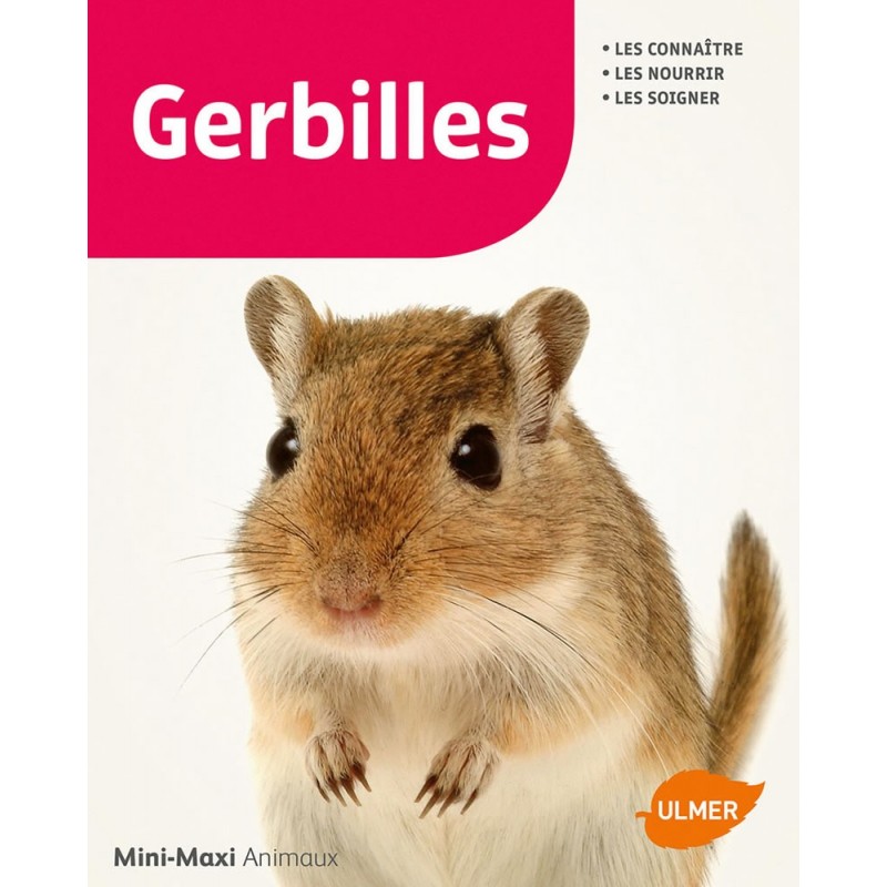 Gerbilles - Heike SCHMIDT-RÖGER 1388905 Ulmer 7,90 € Ornibird