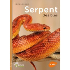 Serpent des blés - P. DIETZ & E. SCHNEIDER & G. SCHNEIDER 1386932 Ulmer 14,95 € Ornibird