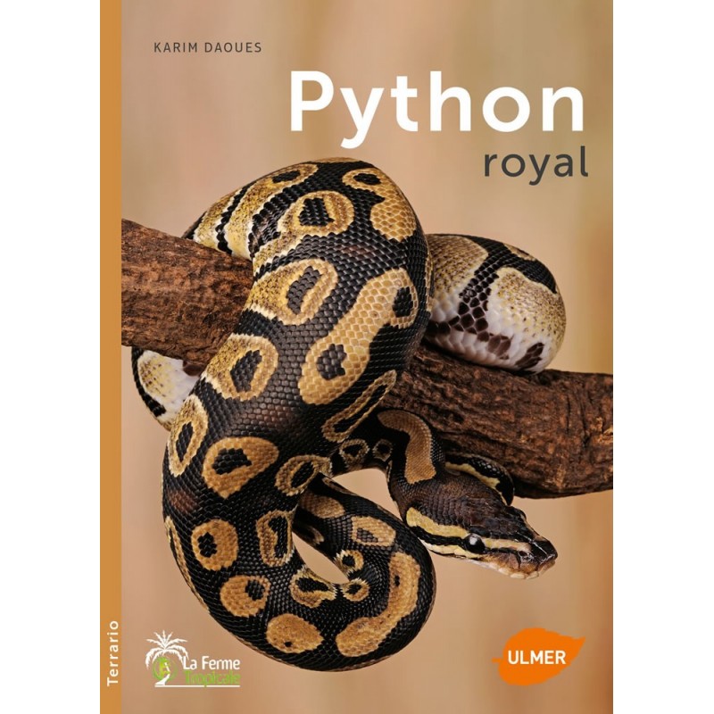 Python Royal - Karim Daees Python Royal - Karim Daees