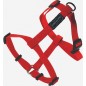 Harnais Basic Line Rouge 40mm 74/117cm - Wouapy