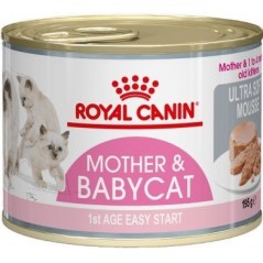 Mother & top babycat mousse