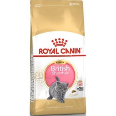 British Shorthair Kitten 400gr - Royal Canin 1250910 Royal Canin 8,35 € Ornibird