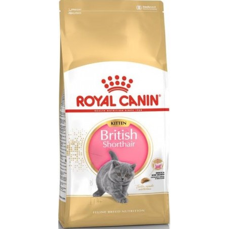 British Shorthair Kitten 2kg - Royal Canin à 38,60 € - Royal Canin - 1250911 - Royal Canin