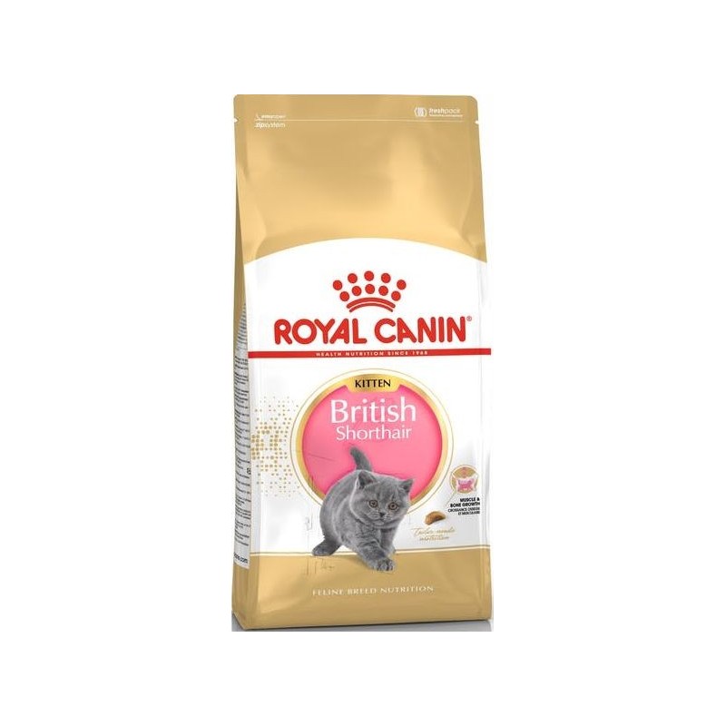 British Shorthair Kitten 10kg - Royal Canin British Shorthair Kitten 10kg - Royal Canin