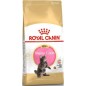 Maine Coon Kitten 400gr - Royal Canin Maine Coon Kitten 400gr - Royal Canin