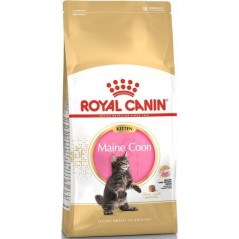 Maine Coon Kitten 4kg - Royal Canin 1250816 Royal Canin 61,85 € Ornibird