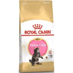 Maine Coon Kitten 10kg - Royal Canin à 136,95 € - Royal Canin - 1250819 - Royal Canin
