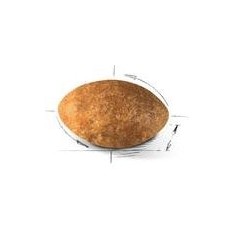 Persian Adult 10kg - Royal Canin - 119,05 € - Royal Canin - 3182550702621 - Ornibird SRL