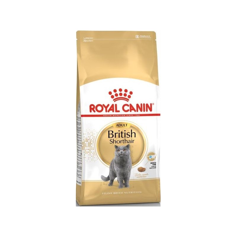 British Shorthair Adult 4kg - Royal Canin 1250923 Royal Canin 53,75 € Ornibird