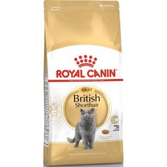 British Shorthair Adult 2kg - Royal Canin 1250922 Royal Canin 31,60 € Ornibird
