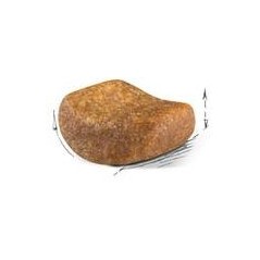 British Shorthair Adult 400gr - Royal Canin - 7,70 € - Royal Canin - 3182550756402 - Ornibird SRL