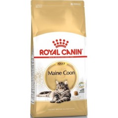 Maine Coon Adult 2kg - Royal Canin 1250803 Royal Canin 31,60 € Ornibird