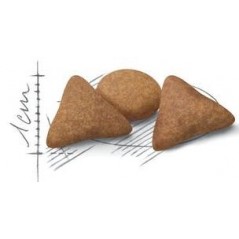 Indoor Appetite Control 4kg - Royal Canin à 49,40 € - Royal Canin - 1250269 - Royal Canin