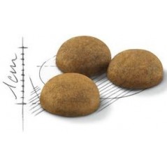 Indoor Long Hair 2kg - Royal Canin - 29,05 € - Royal Canin - 3182550739382 - Ornibird SRL