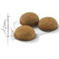 Indoor Long Hair 2kg - Royal Canin Indoor Long Hair 2kg - Royal Canin