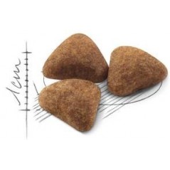 Indoor 10kg - Royal Canin - 102,90 € - Royal Canin - 3182550706940 - Ornibird SRL