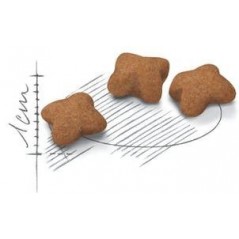 Kitten Sterilised 2kg - Royal Canin 1253103 Royal Canin 30,90 € Ornibird