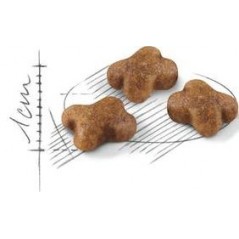 Kitten 400gr - Royal Canin - 7,45 € - Royal Canin - 3182550702379 - Ornibird SRL