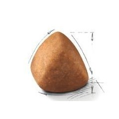 Ragdoll 10kg - Royal Canin - 119,05 € - Royal Canin - 3182550825375 - Ornibird SRL